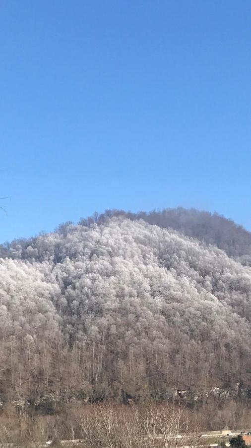 Pine Mountain Inn Pineville Bagian luar foto