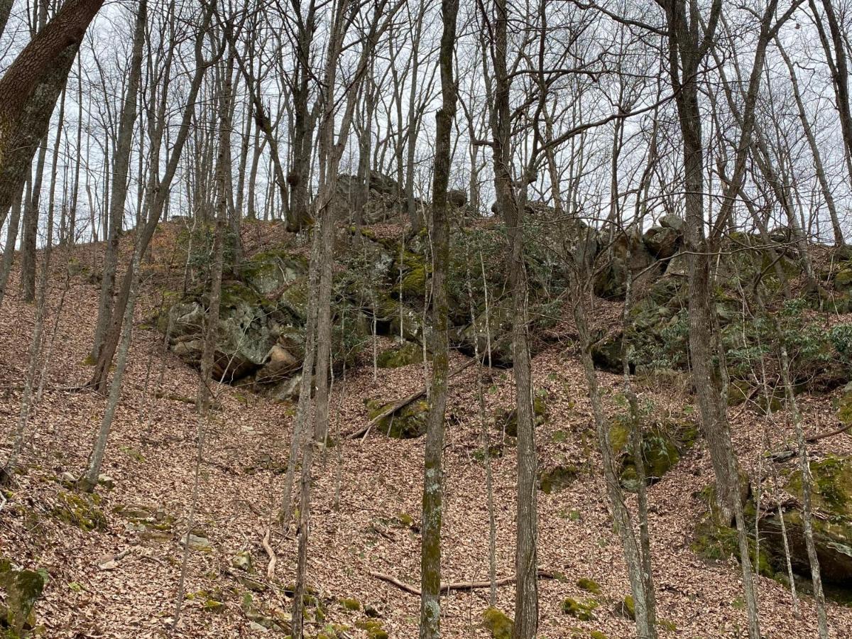 Pine Mountain Inn Pineville Bagian luar foto