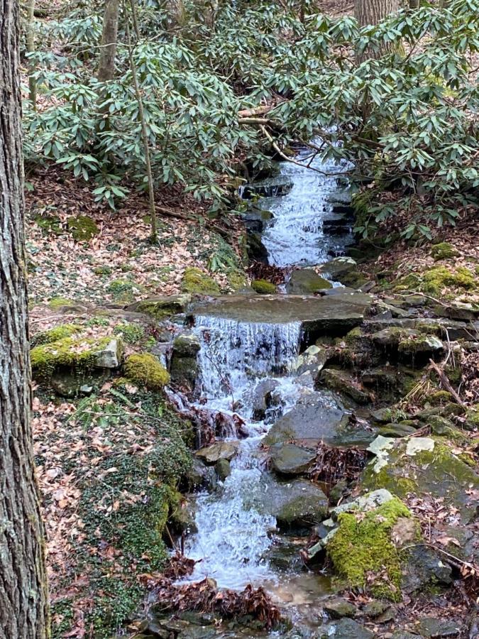 Pine Mountain Inn Pineville Bagian luar foto