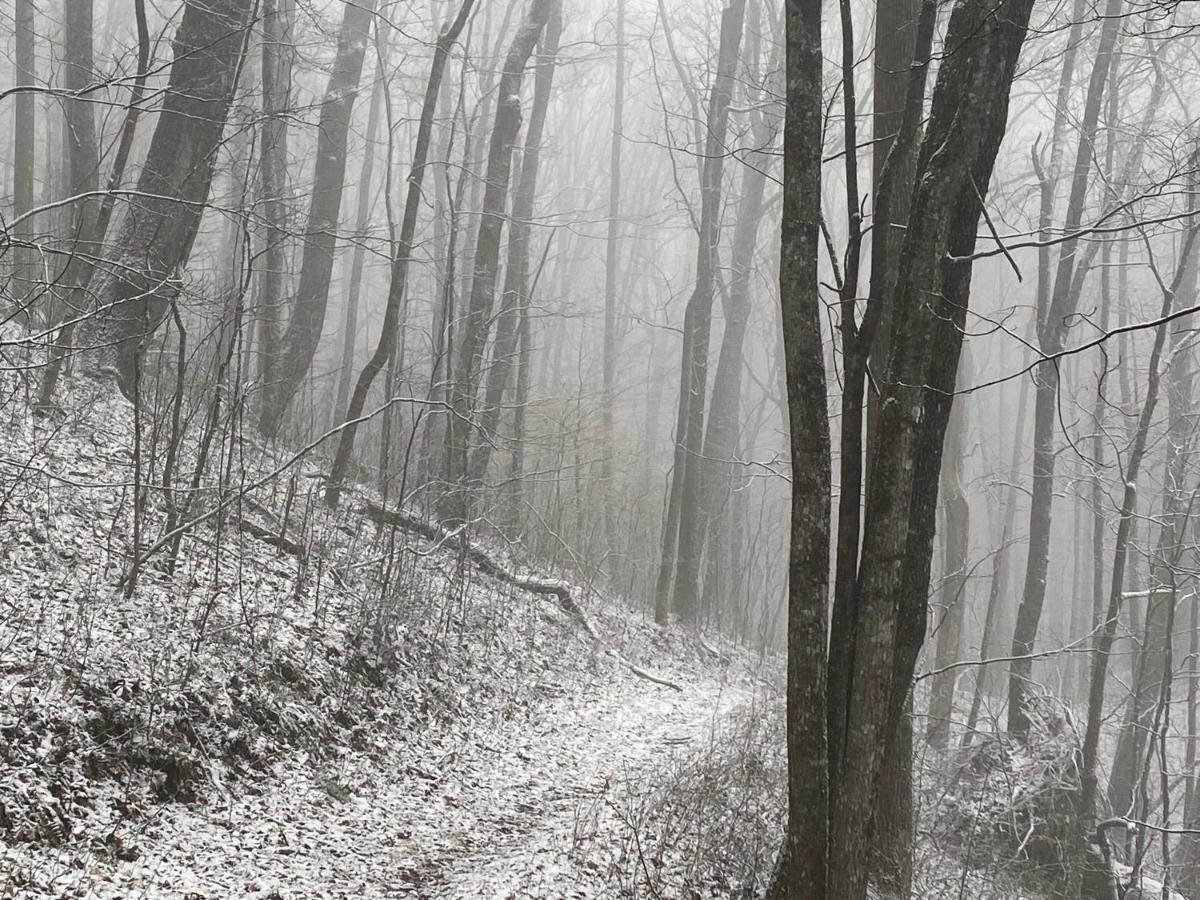 Pine Mountain Inn Pineville Bagian luar foto