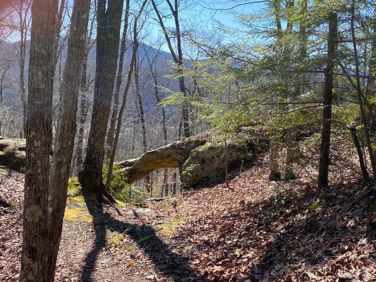 Pine Mountain Inn Pineville Bagian luar foto